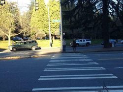 Bukan Photoshop, Kumpulan Potret Bayangan Bikin Mata Terkesima