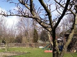 Bukan Photoshop, Kumpulan Potret Bayangan Bikin Mata Terkesima