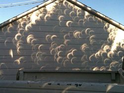 Bukan Photoshop, Kumpulan Potret Bayangan Bikin Mata Terkesima