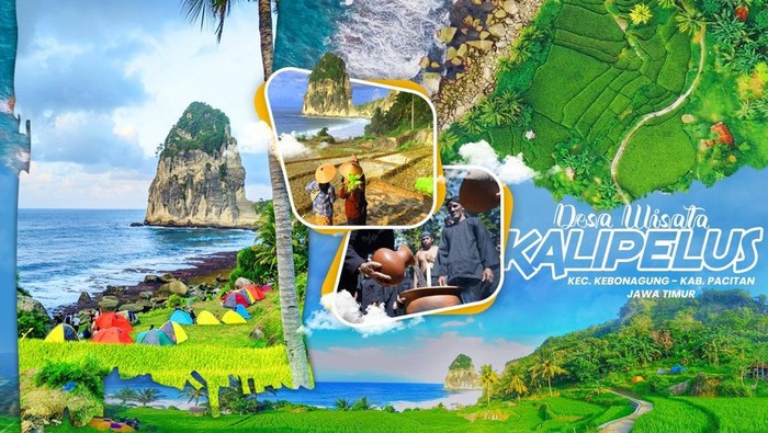 Desa Wisata Kalipelus Pacitan.