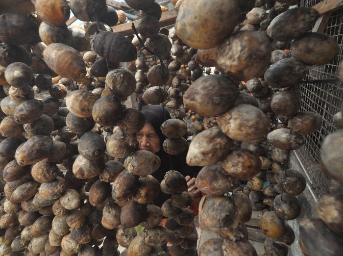 Seorang pekerja menjemur buah pinang dengan cara digantung di salah satu rumah produksi di Kabupaten Kaur, Bengkulu, Senin (17/2/2025). Menurut petani di wilayah tersebut harga buah pinang merosot sejak setahun terakhir dari Rp13.000 per kilogram menjadi Rp5.000 per kilogram. ANTARA FOTO/Muhammad Izfaldi/tom.