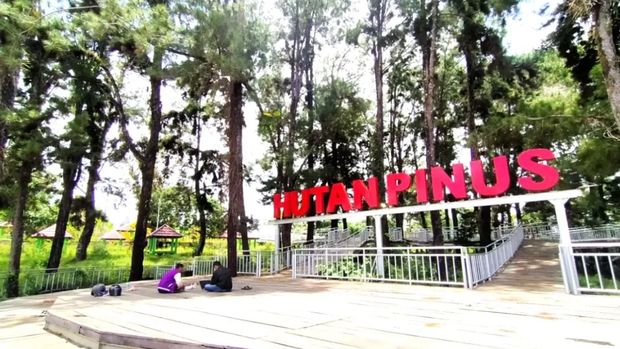 Hutan Pinus Tana Tidung.