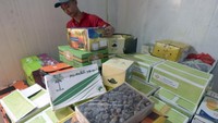 Jika dibandingkan dengan Desember 2024, volume impor kurma hanya mencapai 10.555 ton. Ini artinya, impor kurma melonjak 55,62% secara bulanan (month-to-month/mtm) pada Januari 2025.   