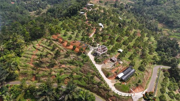 Kebun Durian Tasikmalaya