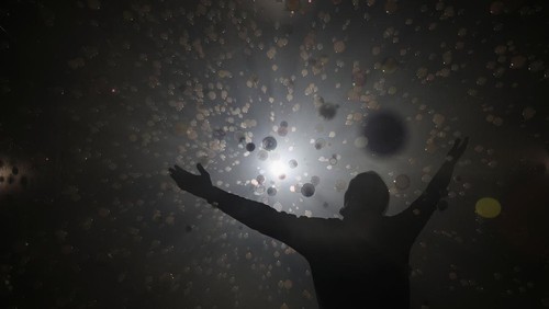 People interact with an art installation made with balloons during a visit to the 'Euphoria' exhibition of the Balloon Museum, set up at La Nuvola conference centre in Rome, Italy, February 8, 2025. REUTERS /Yara Nardi