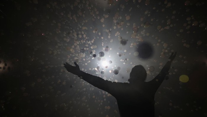 People interact with an art installation made with balloons during a visit to the 'Euphoria' exhibition of the Balloon Museum, set up at La Nuvola conference centre in Rome, Italy, February 8, 2025. REUTERS /Yara Nardi