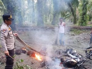 Lagi, Massa Bakar Motor Maling Sawit di Rohul!
