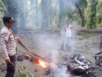Lagi, Massa Bakar Motor Maling Sawit di Rohul!