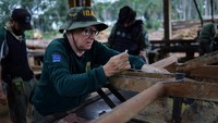 Meskipun sekitar 90% kayu yang dipanen secara ilegal di hutan hujan Amazon Brasil dijual secara lokal, beberapa masih sampai ke Amerika Serikat dan Eropa. Para pegiat konservasi memperingatkan bahwa penebangan liar dan kebakaran masih merusak hutan dengan cara yang tidak sepenuhnya terekam dalam data penggundulan hutan pemerintah.