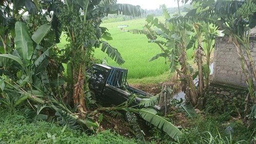 Pikap masuk parit sawah di Jalan Denpasar-Gilimanuk, Desa Penyaringan, Kecamatan Mendoyo, Kabupaten Jembrana, Selasa (18/2/2025).