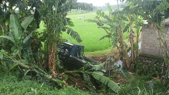 Pikap masuk parit sawah di Jalan Denpasar-Gilimanuk, Desa Penyaringan, Kecamatan Mendoyo, Kabupaten Jembrana, Selasa (18/2/2025).