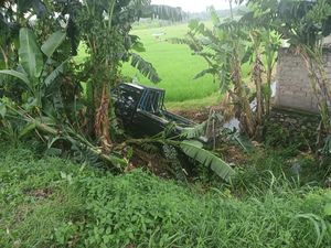 Oleng di Tikungan Jalan Denpasar-Gilimanuk, Pikap Masuk Parit