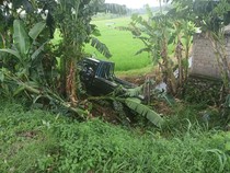Oleng di Tikungan Jalan Denpasar-Gilimanuk, Pikap Masuk Parit