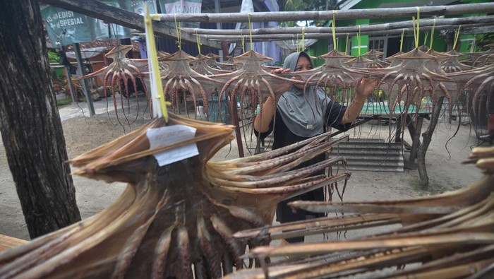 Produksi olahan gurita di Kabupaten Kaur Pelaku usaha menjemur gurita di pekarangan rumah di Kabupaten Kaur, Bengkulu, Senin (17/2/2025). Produksi olahan gurita tersebut selain untuk pasar lokal juga dijual ke berbagai daerah dengan harga Rp80.000-Rp200.000 sesuai kemasan, sedangkan gurita kering nonolahan seharga Rp50.000-Rp150.000 per ekor tergantung ukuran. ANTARA FOTO/Muhammad Izfaldi/tom.