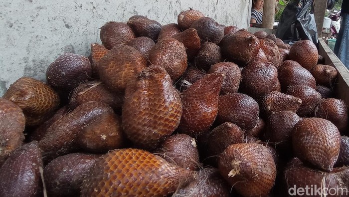 Salak Cineam Tasikmalaya Salak Cineam Tasikmalaya