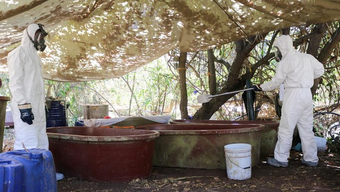 Members of security forces work at a site which was used as laboratories, precursor storage centers and warehouses during an operation by the Mexican army personnel where over 4 tonnes of methamphetamines were seized, in the community of Higueras de Abuya, in Sinaloa, Mexico February 16, 2025. REUTERS/Jesus Bustamante