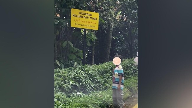 Aksi Berbahaya Pengunjung Keluyuran Keluar Mobil di Taman Safari