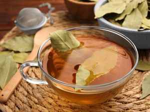 Minum Rebusan Daun Salam, Adakah Aturan yang Tepat?