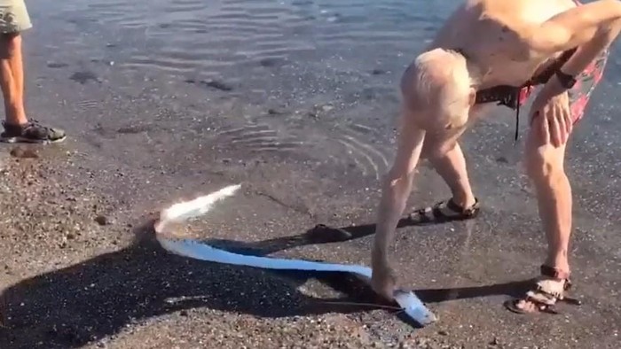 Penemuan ikan kiamat di pantai Meksiko