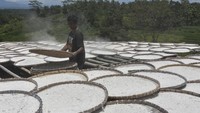 Kementerian Pertanian menetapkan harga pembelian singkong untuk industri tepung nasional sebesar Rp 1.350 per kilogram sebagai upaya pemerintah melindungi petani singkong.  