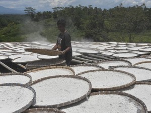 Ada Bukti Tepung Ubi Bisa Padamkan Api, Kepala BRIN: Perlu Produksi Skala Besar