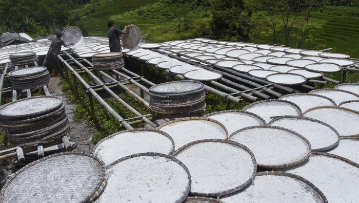 Pekerja menjemur tepung singkong di Cineam, Kabupaten Tasikmalaya, Jawa Barat, Selasa (18/2/2025). Kementerian Pertanian menetapkan harga pembelian singkong untuk industri tepung nasional sebesar Rp1.350 per kilogram sebagai upaya pemerintah melindungi petani singkong. ANTARA FOTO/Adeng Bustomi/nym.