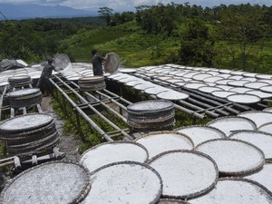 BRIN Kaji Tepung Selain Singkong Jadi Bahan Alternatif Pemadam Api