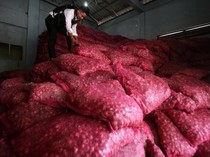 Potret 45 Ton Bawang Merah Ilegal asal Thailand