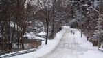 Potret Toronto Diselimuti Salju Tebal