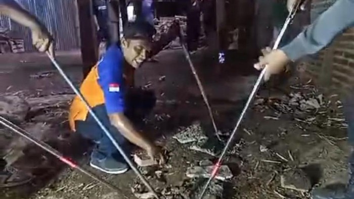 Rumah warga di Madiun yang jadi sarang kobra