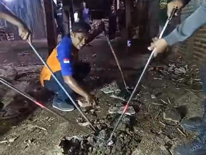 Rumah warga di Madiun yang jadi sarang kobra