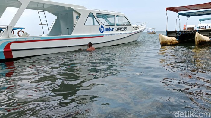 Tumpahan oli cemari kawasan konsevasi terumbu karang Bangsring Banyuwangi