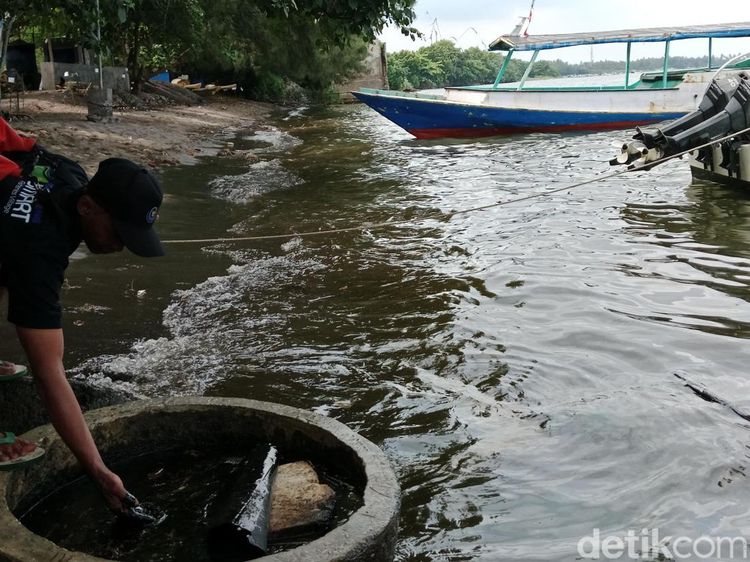 Tumpahan Oli Cemari Pantai Bangsring Banyuwangi