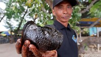 Hingga saat ini, masih belum diketahui sumber tumpahan oli yang mencemari pantai berasal darimana.