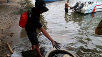 Menurut pengelola, oli yang mencemari Pantai Bangsring sejak tiga hari lalu.