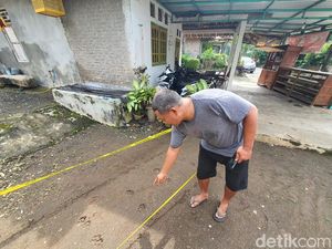Terungkapnya Tabir Misteri Jejak Hewan Misterius di Tahunan Gunungkidul