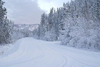Brrr! Ini 10 Tempat Terdingin di Bumi Siap Bikin Kamu Beku