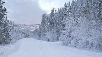 Snag, Yukon, Kanada. Tempat ini diklaim sebagai desa terdingin di dunia. Suhu akan benar-benar turun pada Januari, dengan angka paling rendah yang pernah tercatat yaitu -63 derajat Celsius. (Foto: Twitter/@HistoricaCanada)  