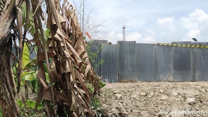 Deretan Pohon pisang mati milik warga, di luar area pengeboran Pad B Pertamina EP Sukowati.
