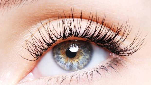 Ilustrasi bulu mata palsu untuk avriasi. (Istimewa)
