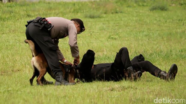 K-9 Polda Jabar
