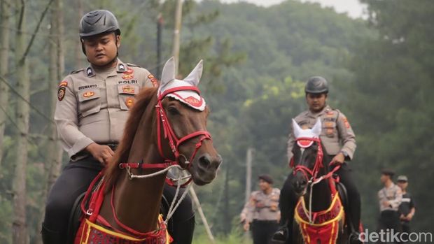 Kuda Turangga Ditsamapta Polda Jabar.