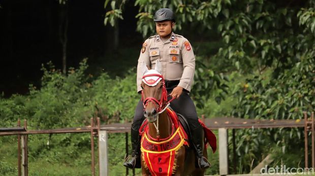 Kuda Turangga Unit Polisi Satwa Kuda Ditsamapta Polda Jabar.