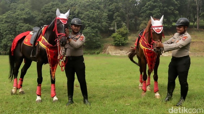 Kuda Turangga Unit Polisi Satwa Kuda Ditsamapta Polda Jabar.