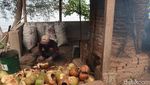 Pemanfaatan Limbah Batok Kelapa di Wisata Pantai Bangsring Banyuwangi