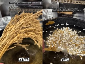 Eksperimen Goreng Padi dalam Minyak Panas, Ini Hasilnya
