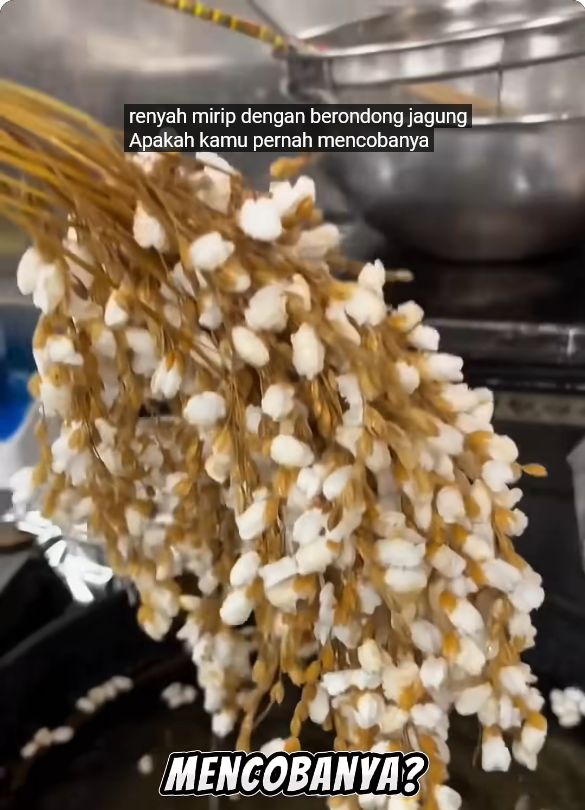kreasi padi goreng