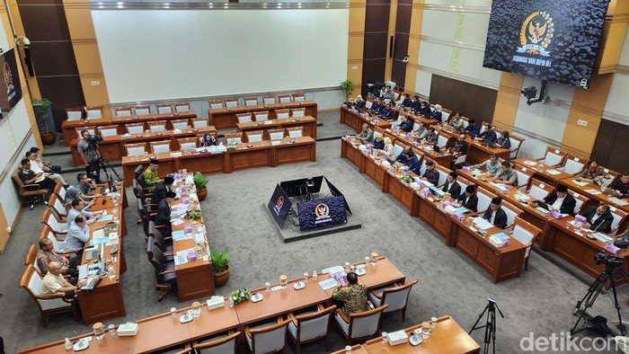 Rapat Komisi VIII DPR, Kamis (20/2/2025). (Adrial Akbar/detikcom).