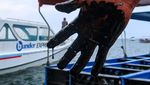 Tumpahan Oli di Pantai Bangsring Ancam Konservasi Terumbu Karang