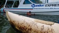 Pencemaran lingkungan ini mengancam ke berlangsungan hidup biota laut.